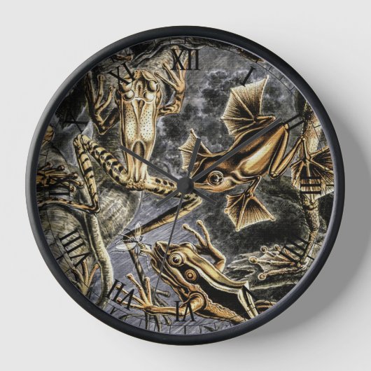  padden en kikkers door Ernst Haeckel (Voorkant)