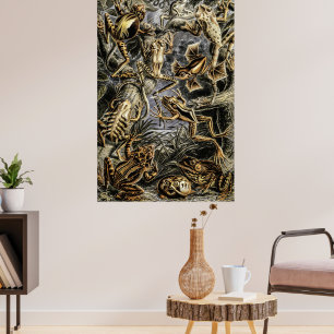  padden en kikkers van het Poster Ernst Haeckel