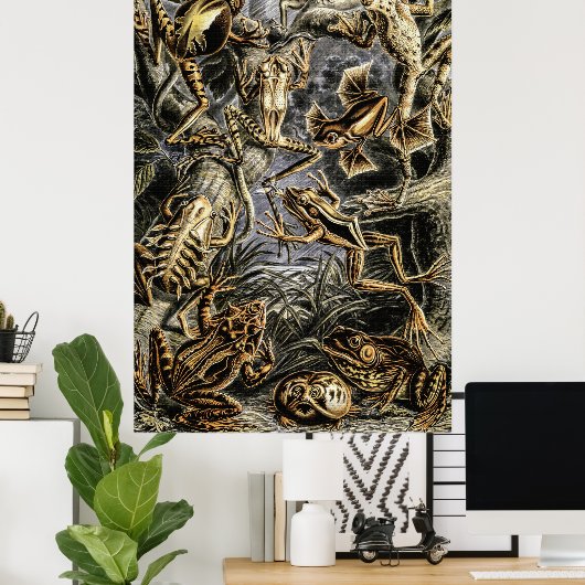 padden en kikkers van het Poster Ernst Haeckel (Thuiskantoor)