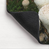 Paddenpaddenstoelen van de soort Lycoperdon Muismat (Hoek)