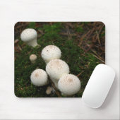 Paddenpaddenstoelen van de soort Lycoperdon Muismat (Met muis)