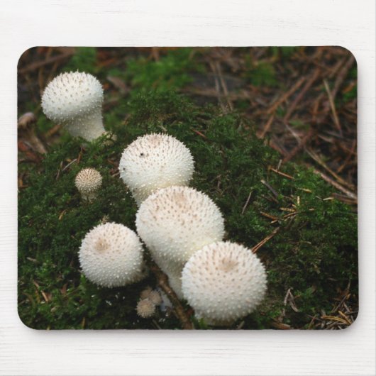 Paddenpaddenstoelen van de soort Lycoperdon Muismat (Voorkant)