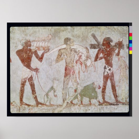 Paddensieten die goud vervoeren poster (Voorkant)