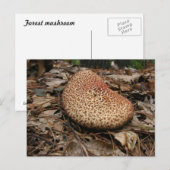 paddenstoel 149 ~ briefkaart (Voorkant / Achterkant)