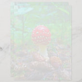 Paddenstoel -  21,5 cm x 28 cm briefpapiervel (Voorkant / Achterkant)