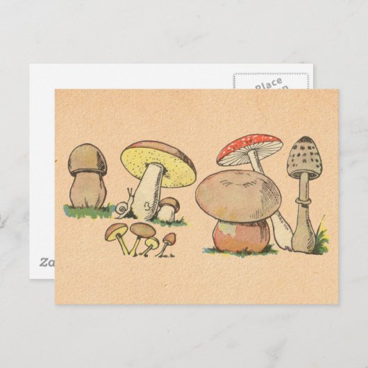  paddenstoel afdrukken briefkaart (Voorkant / Achterkant)