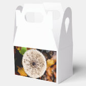 paddenstoel bedankdoosjes (Geopend)