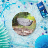 Paddenstoel Borden Papieren Bordje (Feest)