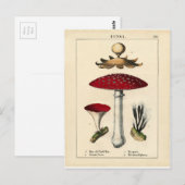  paddenstoel Botanische afdrukken Briefkaart (Voorkant / Achterkant)
