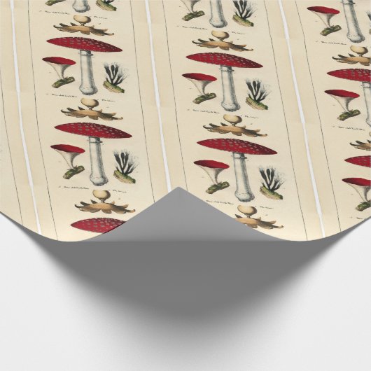  paddenstoel Botanische afdrukken Cadeaupapier (Hoek)