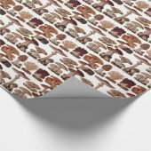  paddenstoel — Botanische afdrukken Cadeaupapier (Hoek)