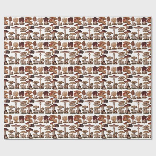  paddenstoel — Botanische afdrukken Cadeaupapier (Vlak)