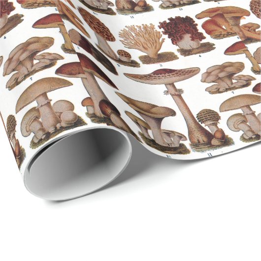  paddenstoel — Botanische afdrukken Cadeaupapier (Rol Hoek)