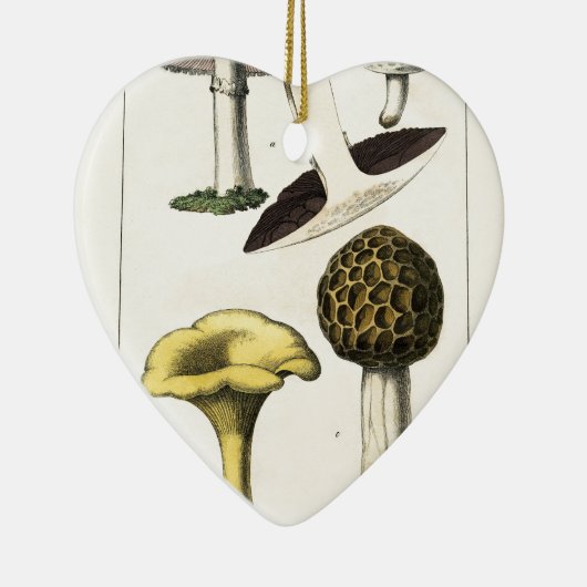  paddenstoel Botanische afdrukken Keramisch Ornament (Rechts)