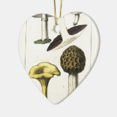 paddenstoel Botanische afdrukken Keramisch Ornament (Links)