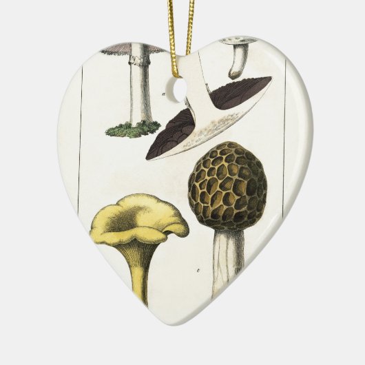  paddenstoel Botanische afdrukken Keramisch Ornament (Links)