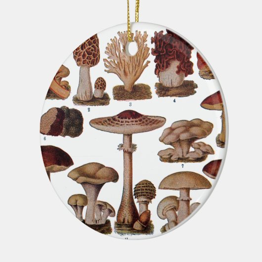  paddenstoel — Botanische afdrukken Keramisch Ornament (Links)