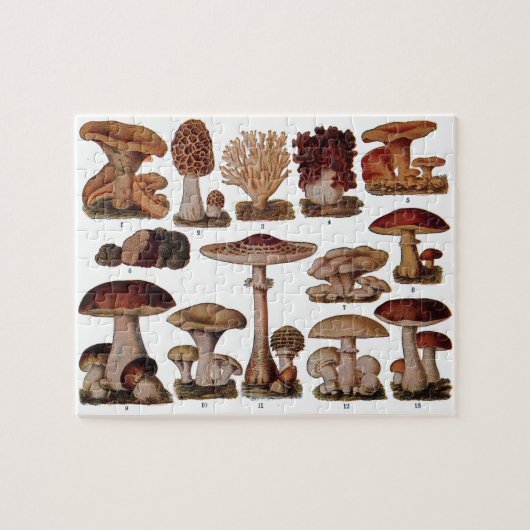 paddenstoel — Botanische afdrukken Legpuzzel (Horizontaal)