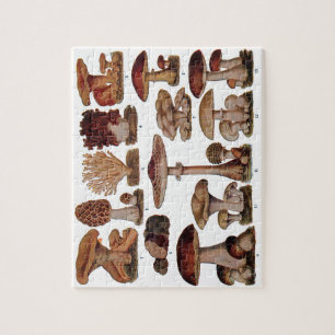  paddenstoel — Botanische afdrukken Legpuzzel