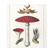  paddenstoel Botanische afdrukken Notitieblok (Voorkant)