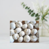 paddenstoel briefkaart (Staand voorkant)