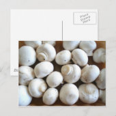 paddenstoel briefkaart (Voorkant / Achterkant)