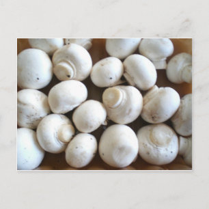 paddenstoel briefkaart