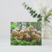 paddenstoel briefkaart (Staand voorkant)