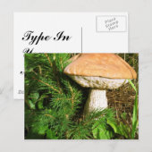 paddenstoel briefkaart (Voorkant / Achterkant)