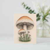 paddenstoel briefkaart (Staand voorkant)