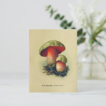  paddenstoel Briefkaart | Botanische illustratie