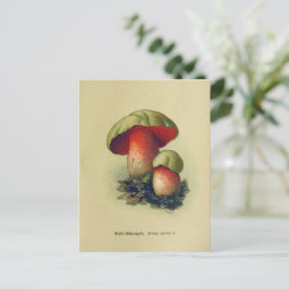  paddenstoel Briefkaart | Botanische illustratie