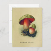  paddenstoel Briefkaart | Botanische illustratie (Voorkant / Achterkant)