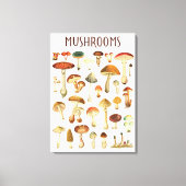  paddenstoel canvas afdruk (Voorkant)