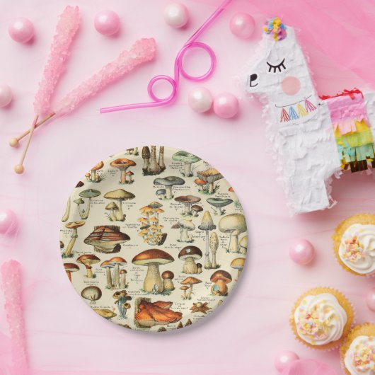 Paddenstoel Collectie Bord (Feest)