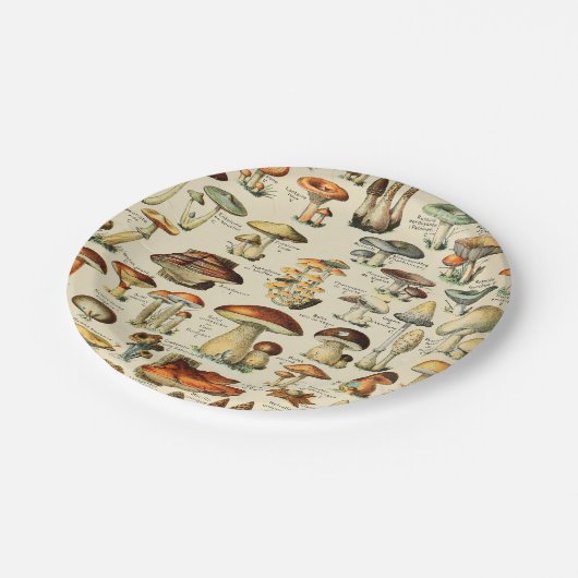 Paddenstoel Collectie Bord (Gekanteld)