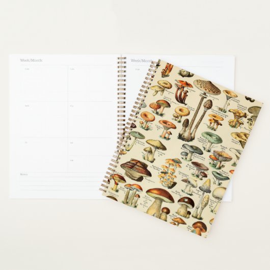 Paddenstoel Collectie Planner (Display)