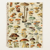 Paddenstoel Collectie Planner (Voorkant)