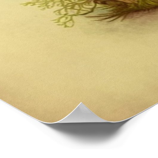  paddenstoel digitale kunst 9 poster (Hoek)