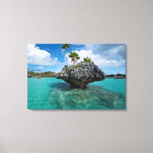 Paddenstoel-eilandjes in Fiji Canvas Afdruk (Voorkant)