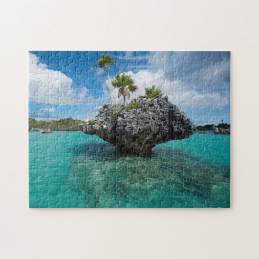 Paddenstoel-eilandjes in Fiji Legpuzzel (Horizontaal)