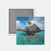 Paddenstoel-eilandjes in Fiji Magneet (Voorkant / Achterkant)