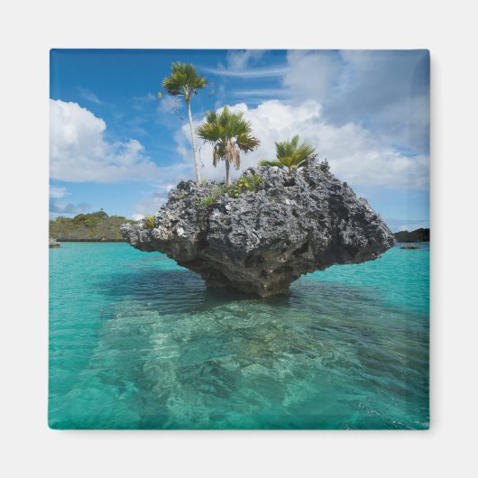 Paddenstoel-eilandjes in Fiji Magneet (Voorkant)