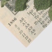 Paddenstoel Ephemera Design Series #12 Tissuepapier (Detail)