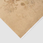 Paddenstoel Ephemera Ontwerpreeks #14 Tissuepapier (Detail)