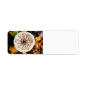 paddenstoel etiket (Voorkant)