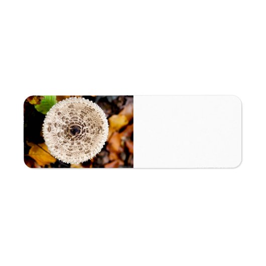 paddenstoel etiket (Voorkant)