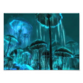 paddenstoel foto afdruk (Voorkant)