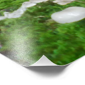 paddenstoel foto afdruk (Hoek)