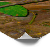 Paddenstoel Foto Poster (Hoek)